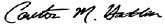 oig-report-2008-aletha-sign