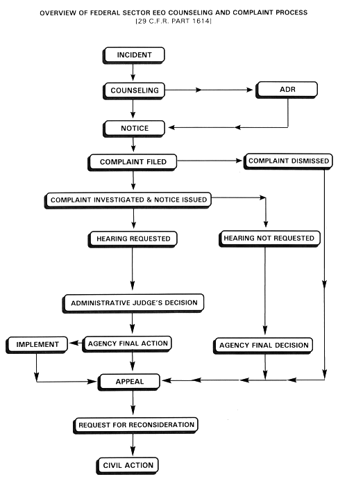 Eeo Process Flow Chart