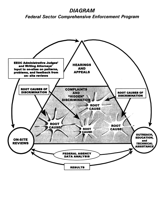 federal sector comprehensive enforcement program diagram -
description in text above