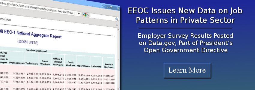 EEOC Issues New Data on Job Patterns in Private Sector: Learn More