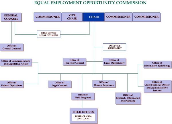 Eeoc Process Chart