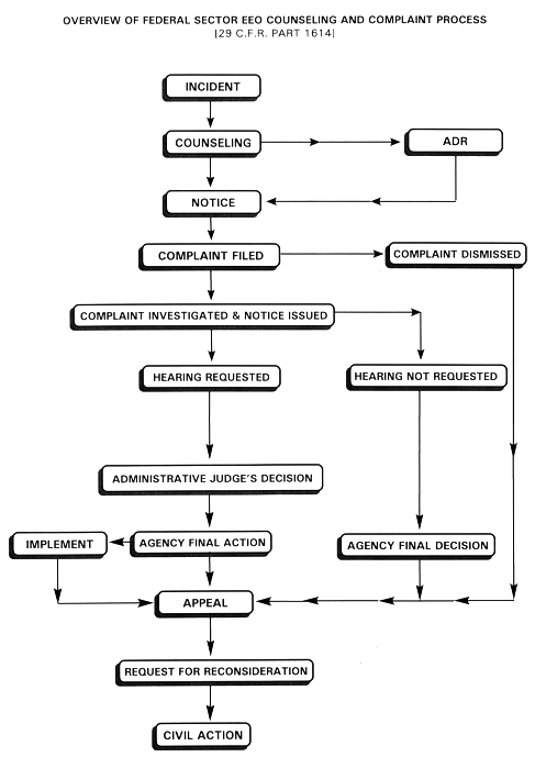 Eeo Complaint Process Chart