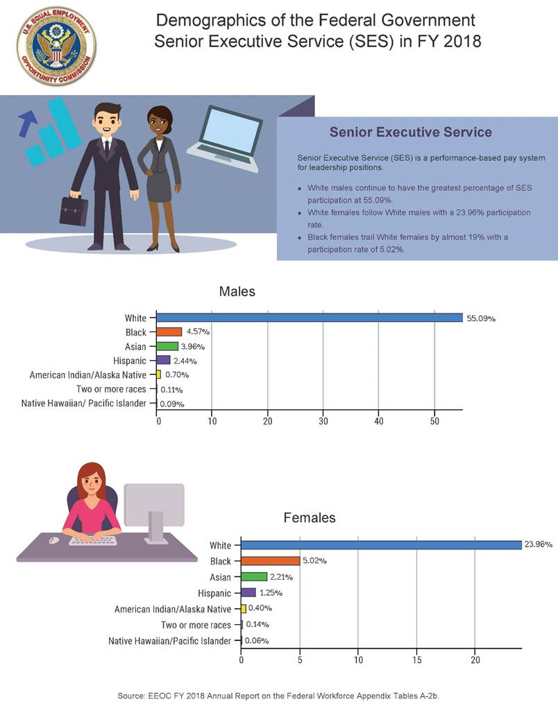 APPENDIX V. Demographics of the Federal Government SES in FY 2018 (Infographic)&#10;&#10;US Equal Employment Opportunity Commission logo seal&#10;&#10;Demographics of the Federal Government Senior Executive Service (SES) in FY 2018.&#10;&#10;(Image of a man and woman dressed for business with laptop and bar graph in the background.)&#10;&#10;Senior Executive Service&#10;Senior Executive Service (SES) is a performance-based pay system for leadership positions.&#10;&#10;White males continue to have the greatest percentage of SES participation at 55.09%.&#10;White females follow White males with a 23.96% participation rate.&#10;Black females trail White females by almost 19% with a participation rate of 5.02%&#10;(Bar graph)&#10;Males:&#10;White: 55.09&#10;Black: 4.57%&#10;Asian: 3.96%&#10;Hispanic: 2.44%&#10;American Indian/Alaska Native: 0.70%&#10;Two or more races: 0.11%&#10;Native Hawaiian/Pacific Islander: 0.09%&#10;(Image of a woman sitting at a desk with a computer monitor and keyboard)&#10;Females:&#10;White: 23.96%&#10;Black: 5.02%&#10;Asian: 2.21%&#10;Hispanic: 1.25%&#10;American Indian/Alaska Native: 0.40%&#10;Two or more races: 0.14%&#10;Native Hawaiian/Pacific Islander: 0.06%&#10;&#10;Source: EEOC FY 2018 Annual Report on the Federal Workforce Appendix Tables A-2b.&#10;&#10;&#10;&#10;