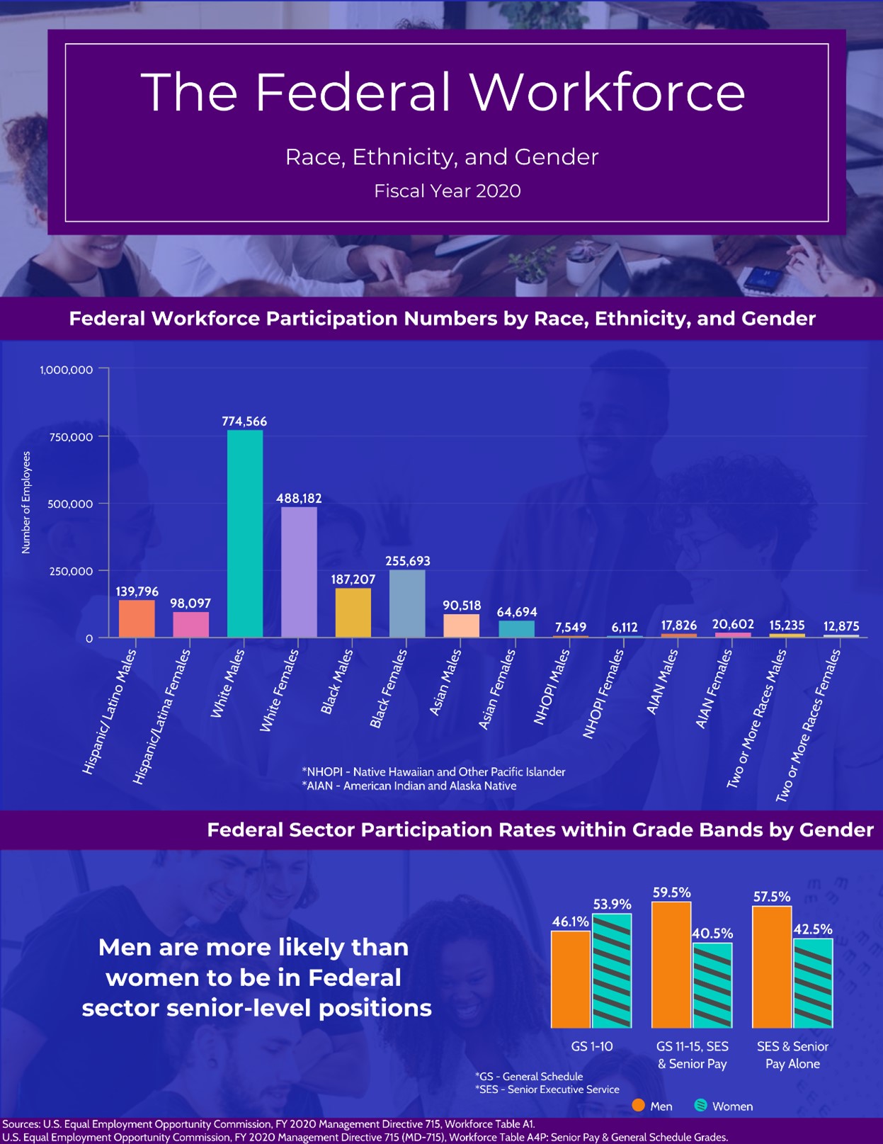 Infographic: The Federal Workforce: Race, Ethnicity, and Gender, Fiscal Year 2020. Link goes to text data.