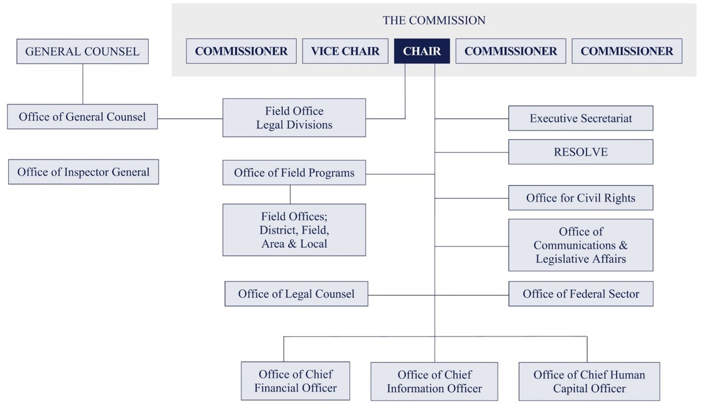 The EEOC leadership consists of the Chair, Vice Chair, three Commissioners, and the General Counsel who each have independent authority and do not report to anyone else at the EEOC.