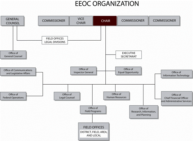 Organization Chart, illustrating information in preceding text