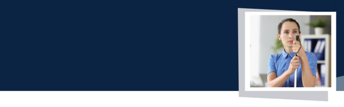 Visual Disabilities Technical Assistance